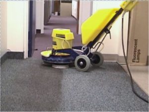 Cimex commercial carpet cleaning